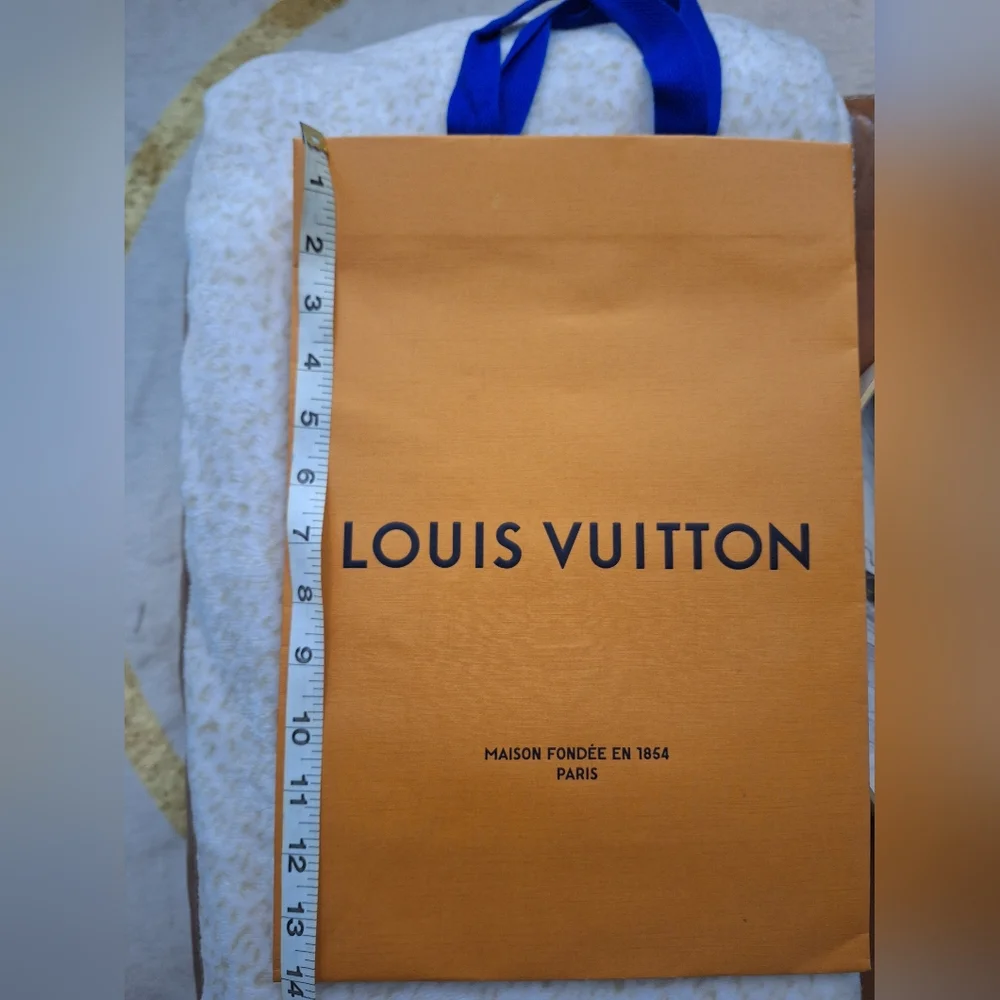 Louis Vuitton Paper Bag